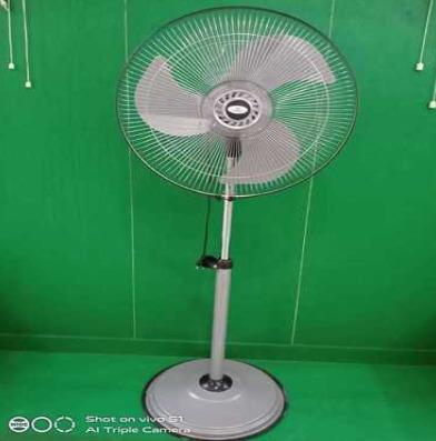 Pedestal Fans