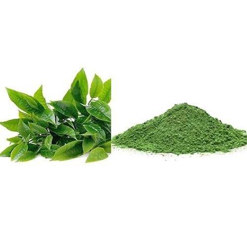 Green Tea Extract