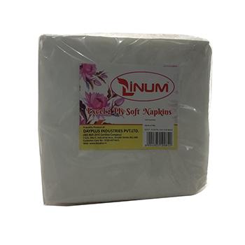 Excel 2 Ply Soft Napkins