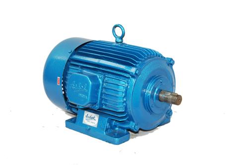Induction Electric Motor