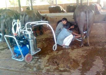 BUFFALO MILK MACHINE