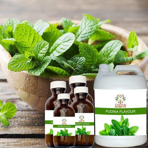 Pudina Flavour/Food Essence