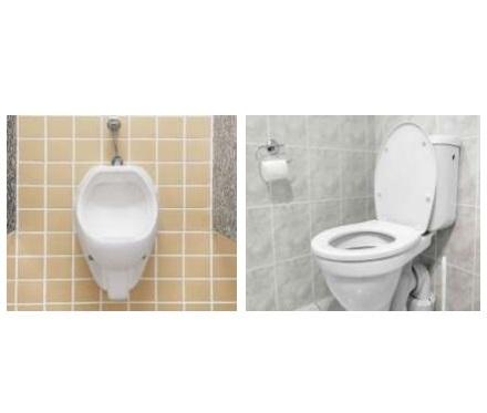 TOILET CLEANER AND FOUL SMELL REMOVER 