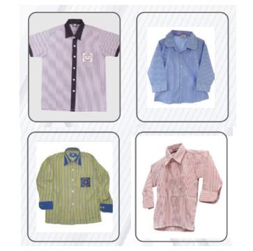 School Lining Half Sleeve Shirt