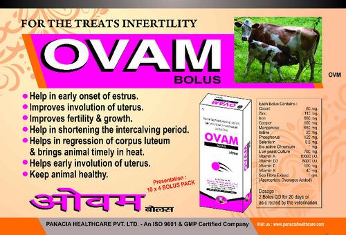 Ovam Bolus