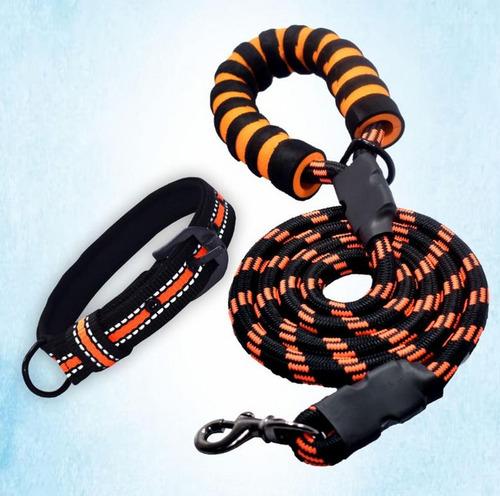 Orange Leash
