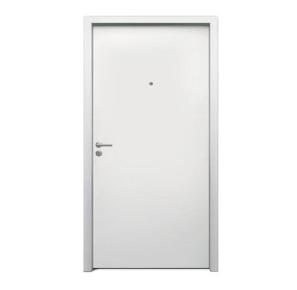 JSW Plain Finish Steel Doors