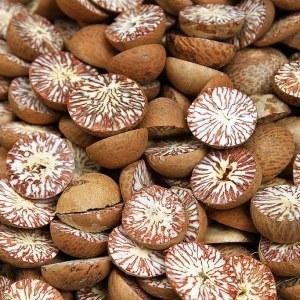 Betel Nut