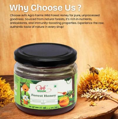 RAW WILD FOREST HONEY - 500 GM