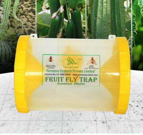Fruit Fly Trap