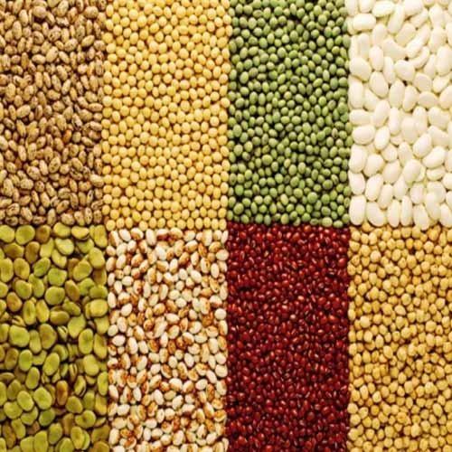 PULSES & CEREALS