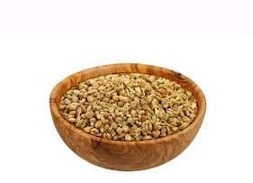 AJWAIN