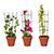 Plant Trellis logo