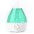 Cool Mist Humidifier
