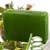 Aloe Vera Facial Bar logo