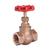Bronze Globe Valve