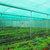 Agro Shade Net