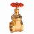 Brass Gate Valves