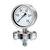 Diaphragm Gauge