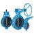 Audco Butterfly Valve