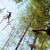 Rope Course