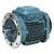 Abb Induction Motor