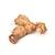 Alpinia Galangal logo