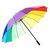 Colorful Umbrella