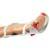 Arm Splint logo