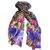Digital Printed Pashmina Shawls