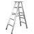 Aluminium Self Support Ladder