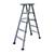 Aluminium Self Support Extension Ladder
