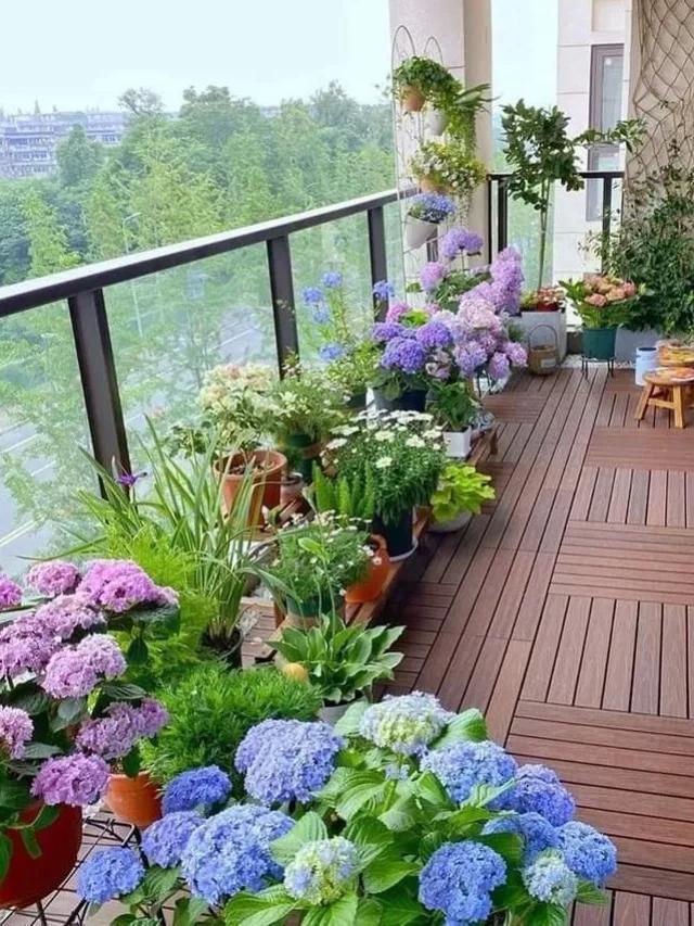 Brighten Your Balcony with These 7 Easy Indian Flowers!