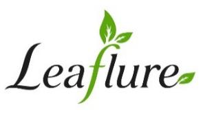 Health & Beauty