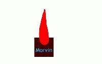 Morvin