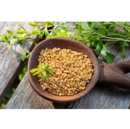 Fenugreek