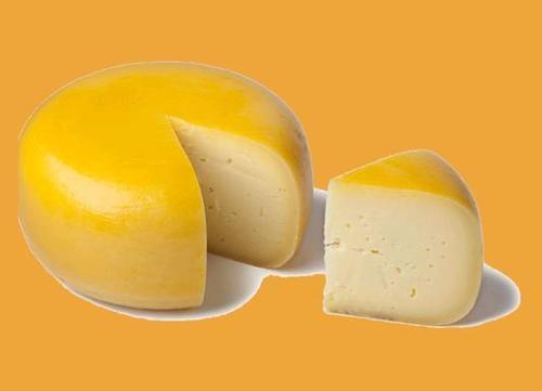 GOUDA Cheese