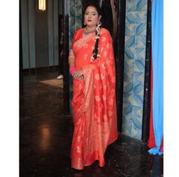 Designer Sarees