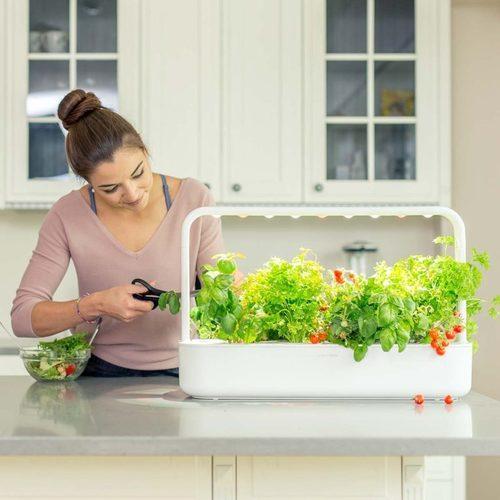 Self Growing Indoor Smart Garden