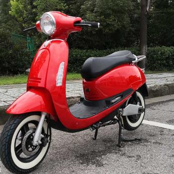 Electric 2 Wheeler Scooter