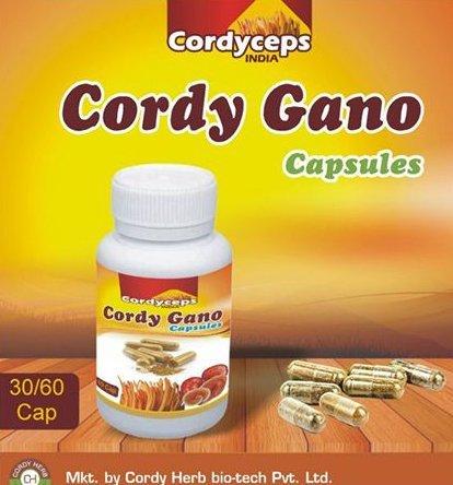 Cordy-Geno Capsules