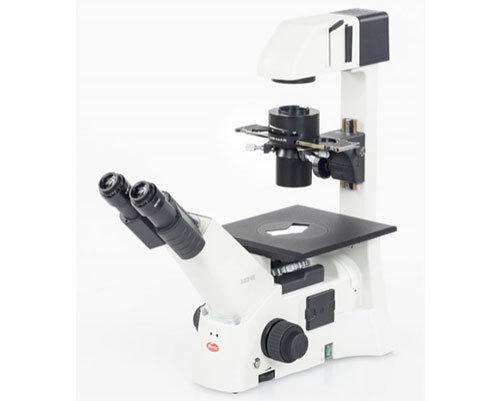AE31 ELITE Series Microscope