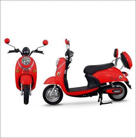 Yogo Trendy Series Electric Scooter with Front Disc Brake