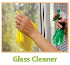 Riders Glass Cleaner