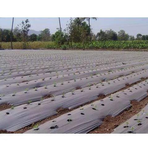 Agriculture Mulching Paper