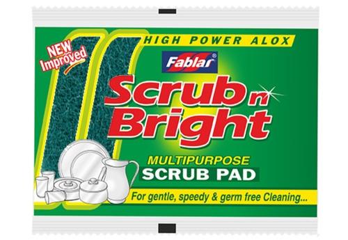 Scrub n Bright Nylon Scrub Pad-10CMX12.5CM