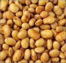 Roasted Soynuts