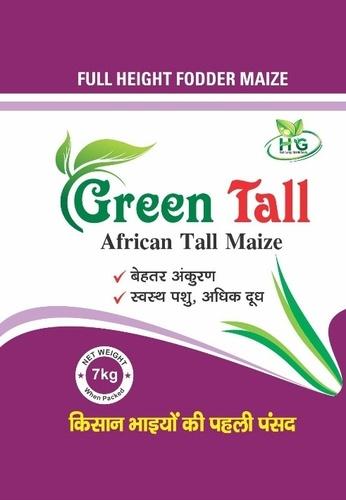 Green Tall African Tall Maize Seed