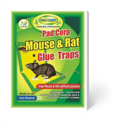 Insect Glue Trap