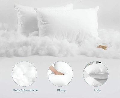 Vacuum Packed Pillow